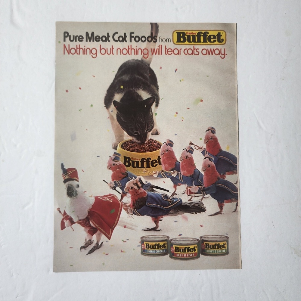 Vintage Print Ad Friskies Buffet gray white cat bird band clipping 1983 8x10.5